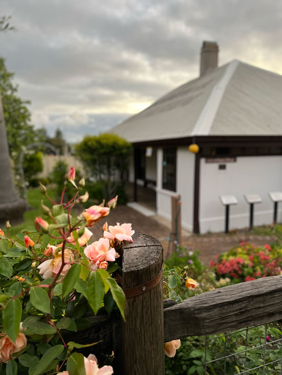 Special Features at Patrick Taylor Cottage