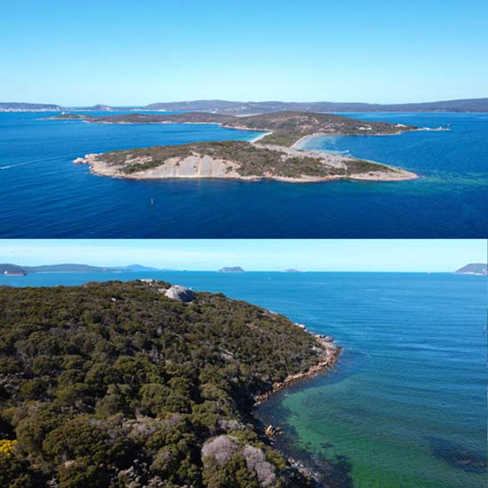 Boat Trips from Albany Foreshore