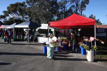 Albany Farmers Market - Market Stalls