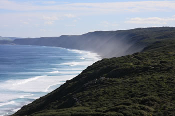 North Torndirrup near the Albany Windfarm