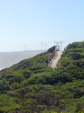 Albany windfarm waling trail