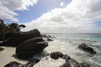 Cosy Corner Beach near West Cape Howe National Park