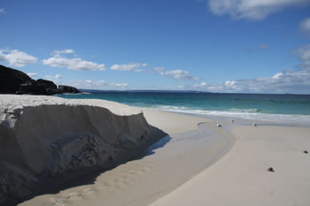 Shelley Beach in West Cape Howe National Park