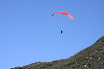 Paragliding from Shelley Beach Lookout facing Albany Windfarm, West Cape Howe