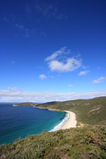 Shellly Lookout, Facing the Beach