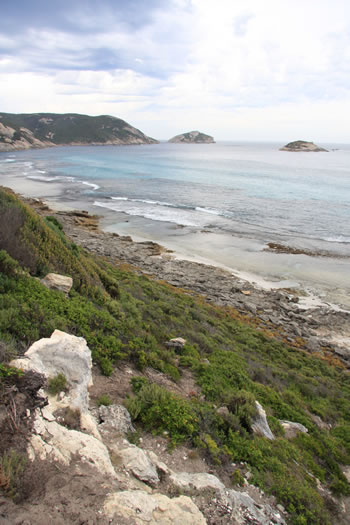 Sinker Reef, Two Peoples Bay