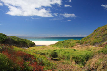 Torbay Inlet (upper), Torbay