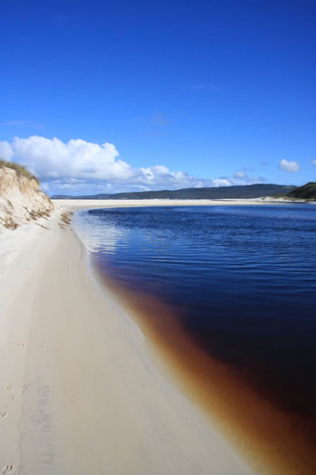 Torbay Inlet, Torbay