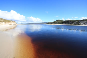 Torbay Inlet Camping