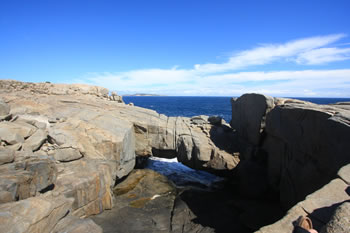 Nature Bridge