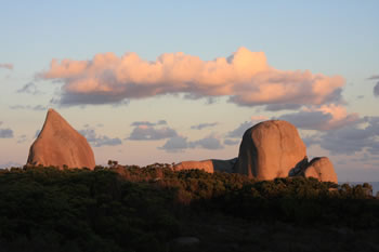 Bibbulmun Track past Tower Hill, William Bay National Park