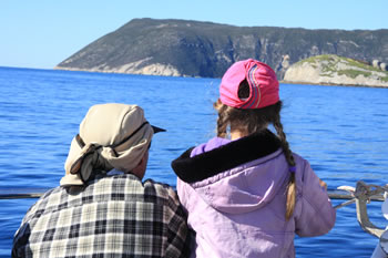 Whale Watching Tours are Great!