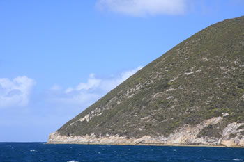 King George Sound Whale Watching